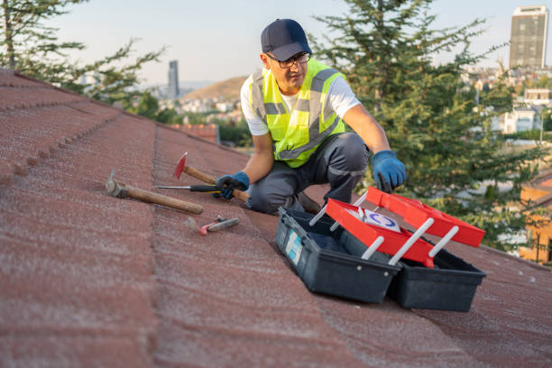 Best Steel Siding Installation  in Metuchen, NJ